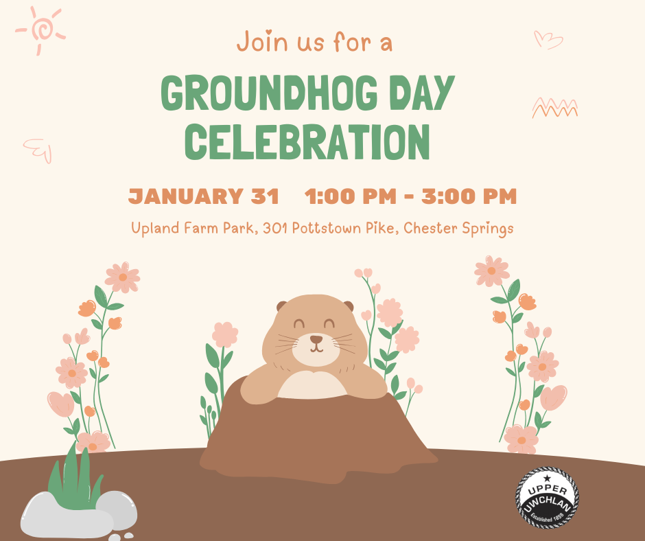 Groundhog Day celebration invitation with a cartoon groundhog and flowers.